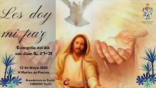 Evangelio del día san Juan 14, 27-31 Martes del 2020-05-12 por Mons. Fabio Martínez Castilla.