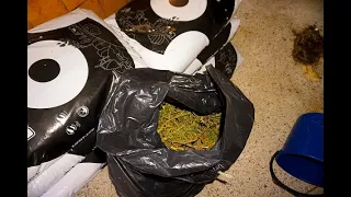 FOUND BIG BAG OF WEED - Drug dealers Abandoned Grow House