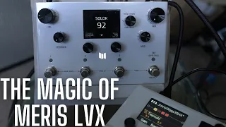 Revisiting the MAGIC of the MERIS LVX