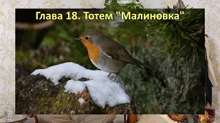 Тотем МАЛИНОВКА. Глава 18. Хранитель весеннего равноденствия "Колеса Года". Шаман - С. Попроцкий.