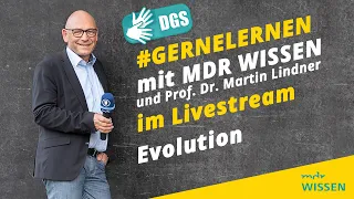 Evolution | #gernelernen mit MDR WISSEN (mit Gebärdensprache) | gernelernen mit MDR Wissen | MDR