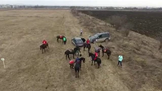 ПОЛЁТЫ (Flying). Конный пробег близ Нальчика. 04.02.2018г.