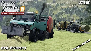 Baling with FastBaler & collecting bales | Animals on Erlengrat | Farming Simulator 19 | Episode 13