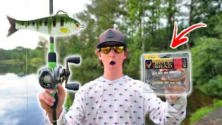 Fishing The NEW Weedless Baby Bullshad (Micro Swimbait)