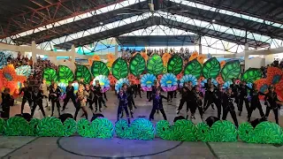 Quiot Festival 2023- ISABEL NATIONAL COMPREHENSIVE SCHOOL TRIBU KATUNGGAN