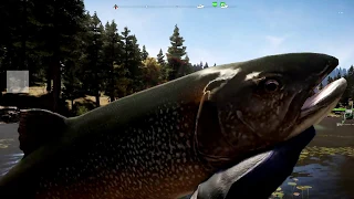 Far Cry 5 fishing: Lake Trout