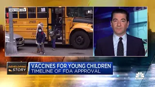 Dr. Scott Gottlieb breaks down Pfizer's delayed Covid vaccine for young children