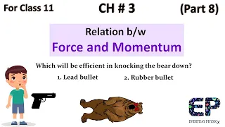 Which will knock the bear down .(LEAD OR RUBBER BULLET). CLASS 11. EPX(EVERYDAY PHYSICX)