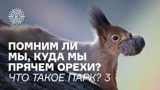 Что такое парк? Разговор с зоологом