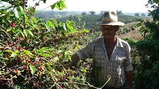 Seu Marinho, homem dedicado e trabalhador