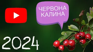 90 На Годину - Червона Калина 2024