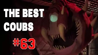 Best COUB #63 - HOT WEEKS VIDEOS 2016