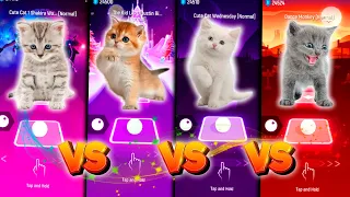 CUTE CATS SHAKIRA WAKA WAKA & JUSTIN BIEBER & LADY GAGA BLOODY MARY & DANCE MONKEY & TILES HOP EDM