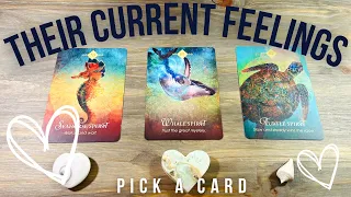 🐋🐢🌊How are they FEELING about You!  🦦🌻Pick A Card * in Depth Love Tarot Reading