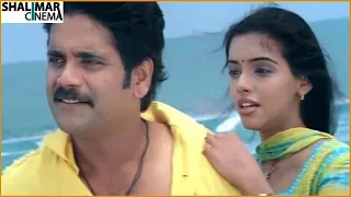 Yenaatiki Full Video Song || Best Love Song || Shivamani Movie || Nagarjuna, Asin || Shalimarcinema