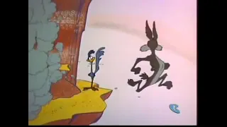 Wile E  Coyote Vs Gravity