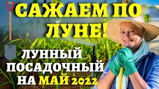 ТОЧНЫЙ ЛУННЫЙ ПОСЕВНОЙ КАЛЕНДАРЬ НА МАЙ 2022 по дням  #лунныйпосевнойкалендарь