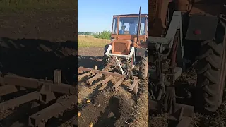 Уборка картошки трактором т 16 2023 год