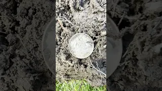 Minelab Manticore Silver spill! Metal detecting Australia. #minelab #metaldetecting #treasurehunting