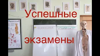 Экзамены. Психология успешной сдачи