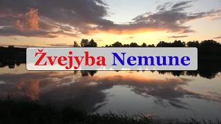 Žvejyba Nemune - Gabrielius Ser