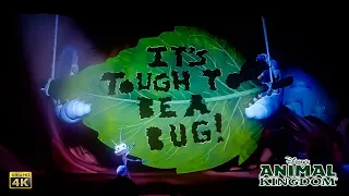 It's Tough to Be a Bug Complete Show 4K Disney's Animal Kingdom Walt Disney World 2023 01 05