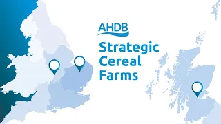 AHDB Strategic Cereal Farm Programme Results 2021
