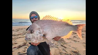 Drone Fishing For Pink Snapper