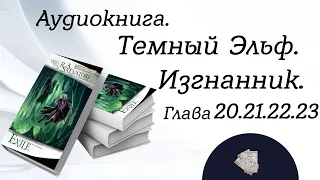 Глава 20. 21. 22. 23. из 26  Аудиокнига "Изгнанник". Цикл "Темный Эльф" Роберт Сальваторе.