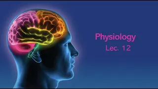 L12 (Reticular formation, ECG & sleep) - Physiology - CNS