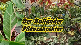 Der Holländer am Olympiastadion 🌱 | Kleine Tipps für die Botanika Hamm 💚