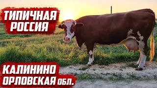 Типичная Россия | Орловская обл. Ливенский район, с.Калинино