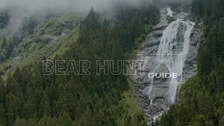 BEAR HUNT GUIDE- the best bear hunting advice