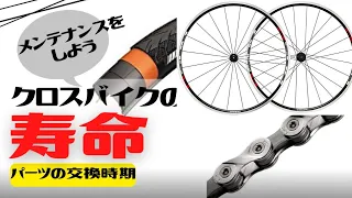 【初心者】クロスバイクの寿命は知っていますか？【メンテナンス】