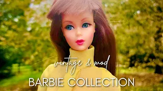 Vintage & Mod Barbie Doll Collection | 2017 | Constellations Of Dolls