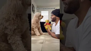 Dog chooses between her favourite toy or her dad #love #dogs