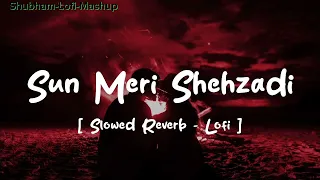 Sun Meri Shehzadi❤️‍🩹🌏💫 Main Hoon Tera Shehzada | Heart Touching Love Story | Shubham-Lofi-Mashup |