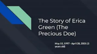 The Story of Erica Green (The Precious Doe)