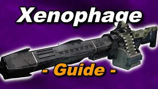 Xenophage Guide - Part 2 - So bekommt ihr das exotische Maschinengewehr - Destiny 2 Shadowkeep