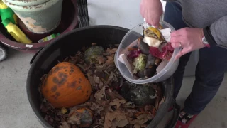 Curbside Composting Tips