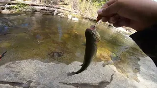 BFS Trout Fishing plus Rain, Lighting and Game Warden???