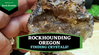 Rockhounding Oregon - Finding Crystals!