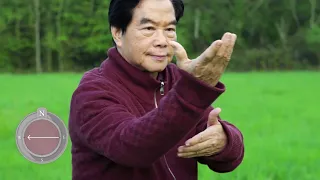 Tai Chi with Master Mantak Chia - Beginner to Intermediate - Yang Style Short Form