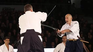 L'Aïkibudo au Festival des Arts Martiaux Nord-Europe à Lille !