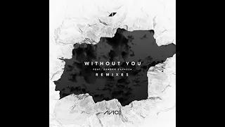 Avicii - Without You(Otto Knows Remix)