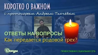 Как передается родовой грех? о. Андрей Ткачев