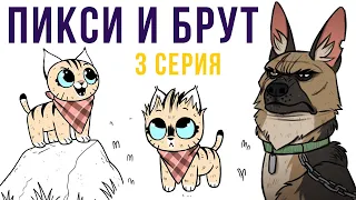 Пикси и Брут. 3 серия | Мемозг #278