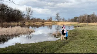 Наші чудові прогулянки напередодні весни🌿Бургери на грилі🍔Домівка врятованих тварин🦅