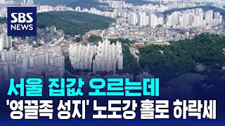 서울 집값 오르는데…'영끌족 성지' 노도강 홀로 하락세 / SBS