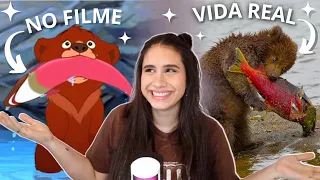 Como são os animais de Irmão Urso na vida real?